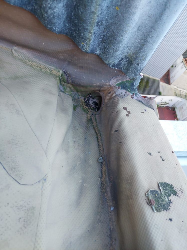 Imagen de canalón sin limpiar en tejado